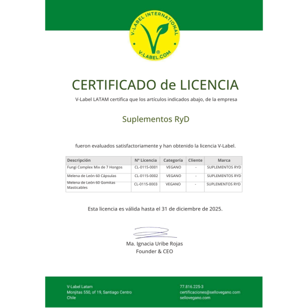 Melena de león 60 gomitas veganas RyD Certificadas - Imagen 4