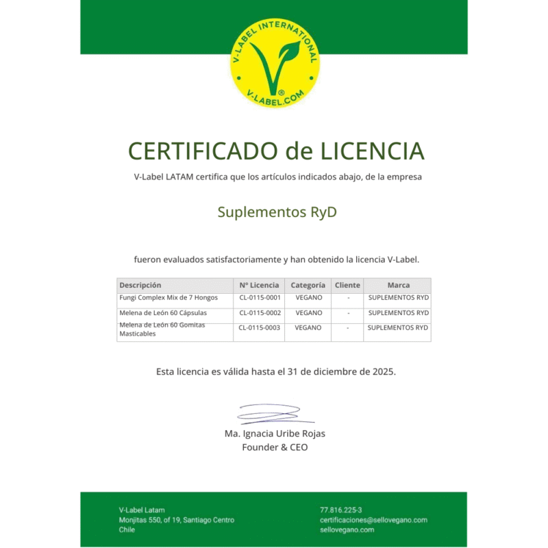 Melena de león 60 gomitas veganas RyD Certificadas - Imagen 4