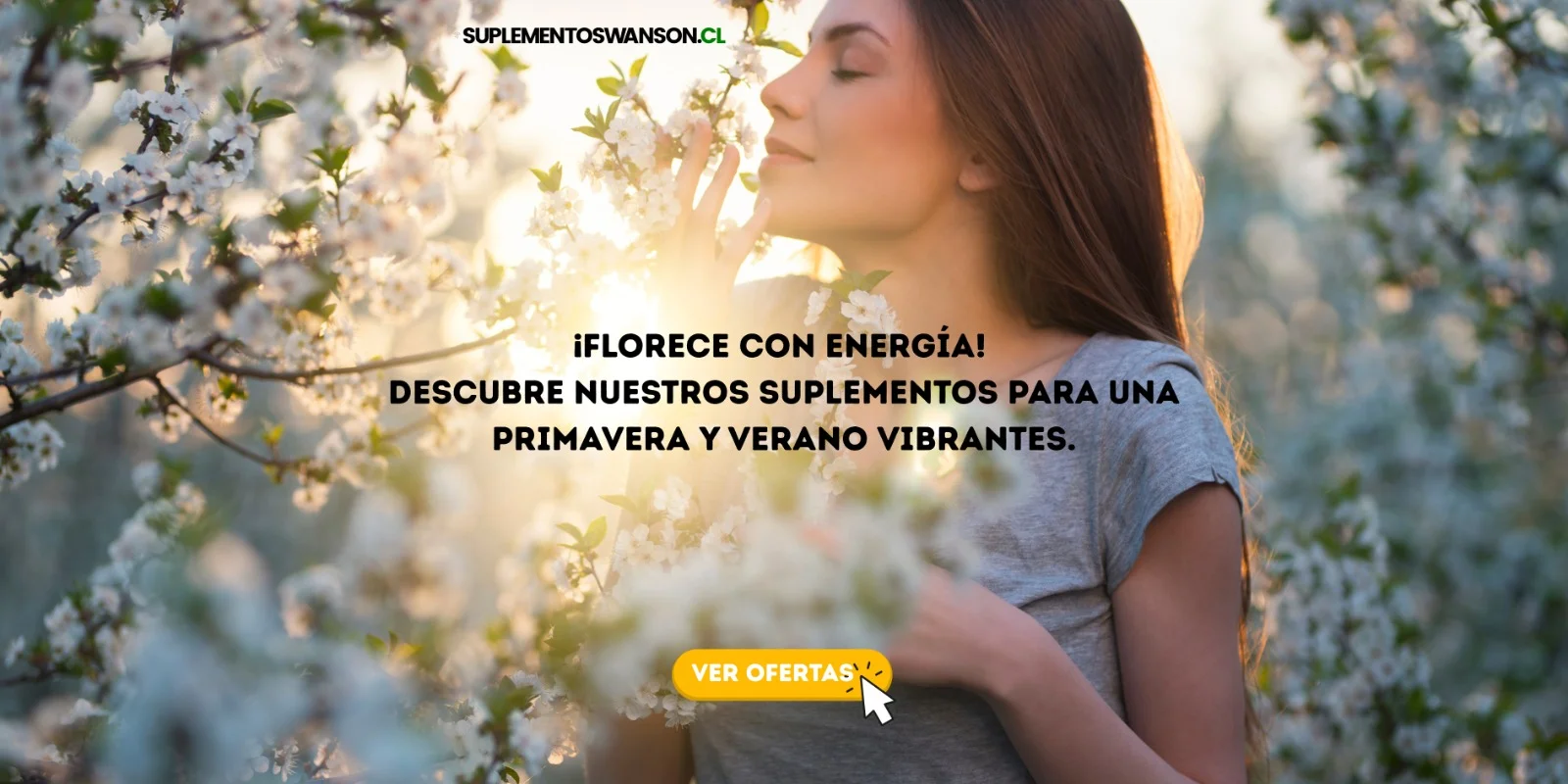 primavera swanson